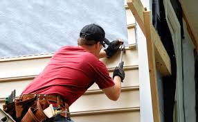 Best Steel Siding Installation  in Red Lake, MN